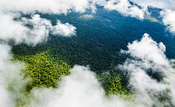 Clouds from bird’s eye view with green woods below (photo)